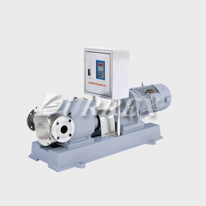 Frequency Converter Lobe Pump